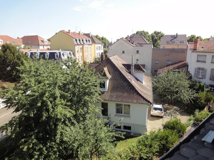 Le Nid Des Cigognes A Colmar Centre, Proche Gare, Marches De Noel Apartamento Exterior foto